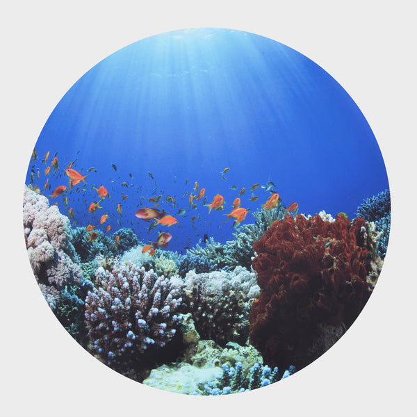 tickit Sensory Mood Discovery Table & Play Mats -