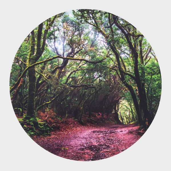 tickit Sensory Mood Discovery Table & Forest Discovery Play Mat -