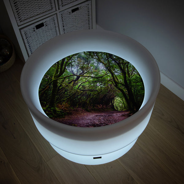 tickit Sensory Mood Discovery Table & Forest Discovery Play Mat -