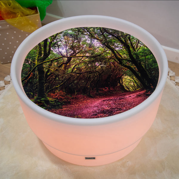 tickit Forest Discovery Play Mat -