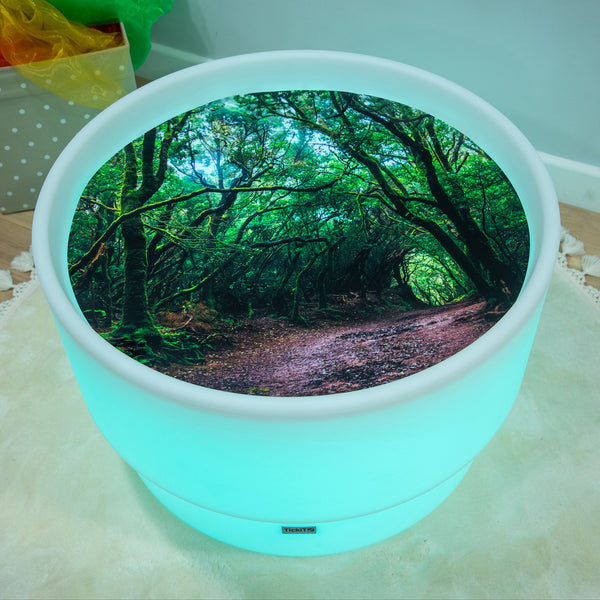 tickit Forest Discovery Play Mat -