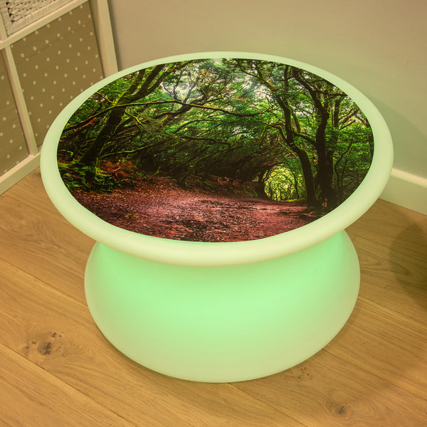 tickit Forest Discovery Play Mat -