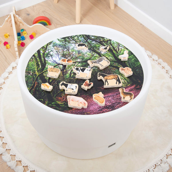 tickit Wooden Domestic Animal Blocks -