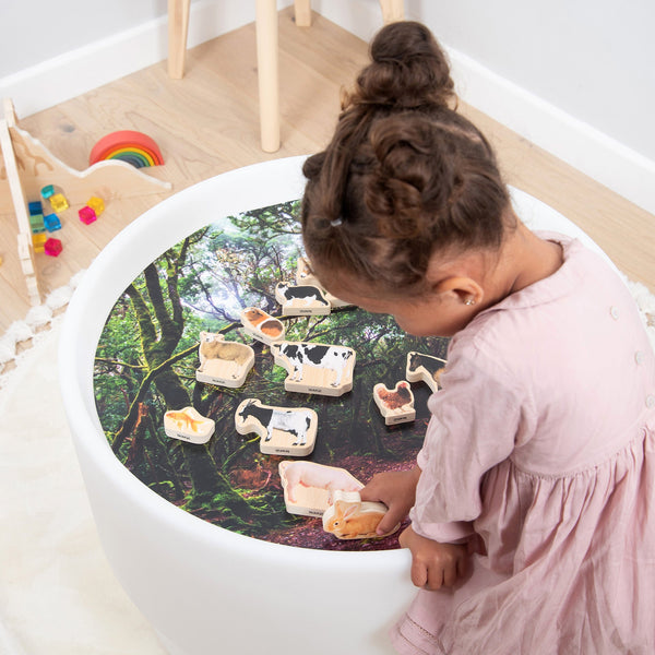 tickit Wooden Domestic Animal Blocks -