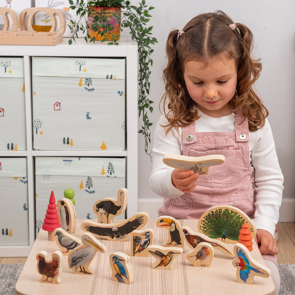tickit Wooden Bird Blocks -