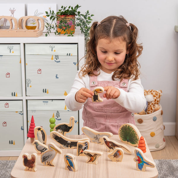 tickit Wooden Bird Blocks -