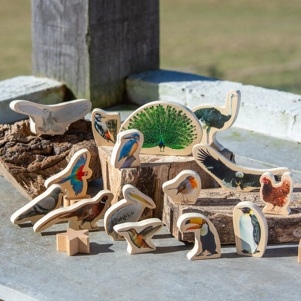 tickit Wooden Bird Blocks -