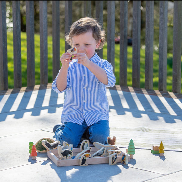 tickit Wooden Bird Blocks -