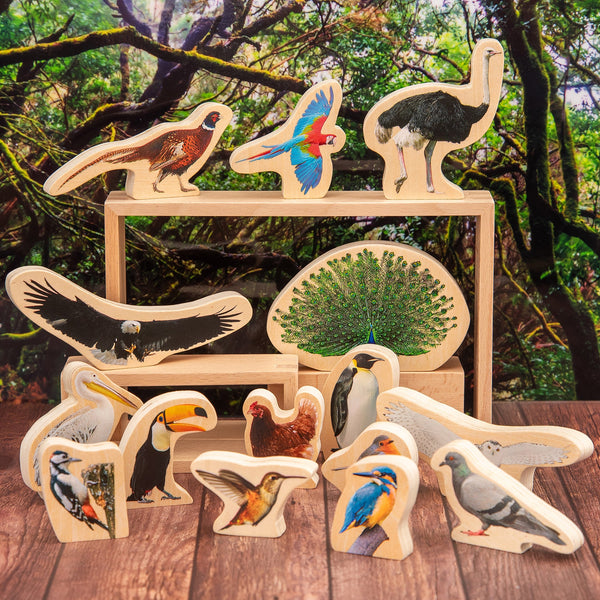 tickit Wooden Bird Blocks -