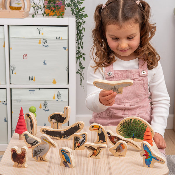 tickit Wooden Bird Blocks -