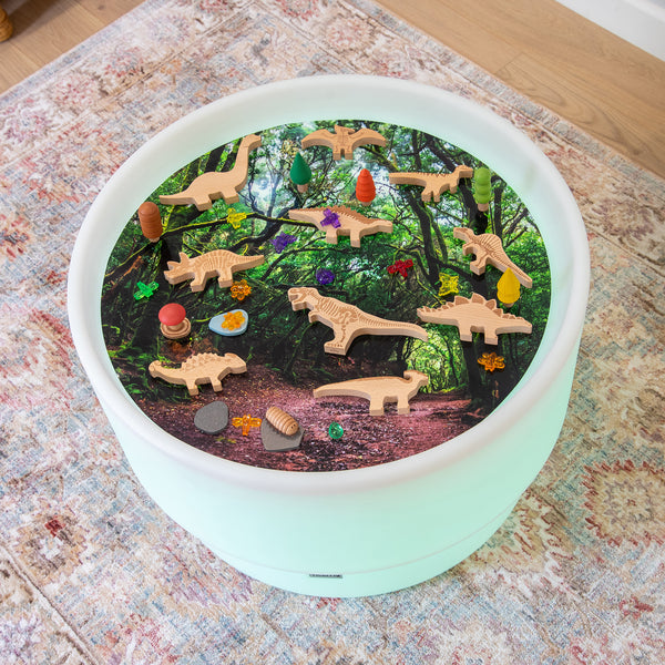 tickit Wooden Dinosaur Blocks -