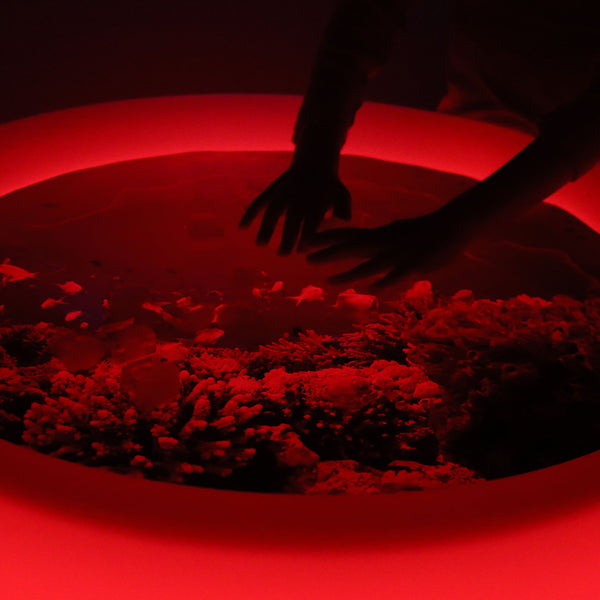 tickit Sensory Mood Low Discovery Table -