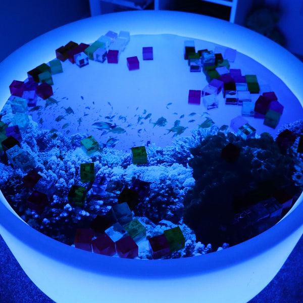 tickit Sensory Mood Discovery Table & Under The Sea Play Mat -