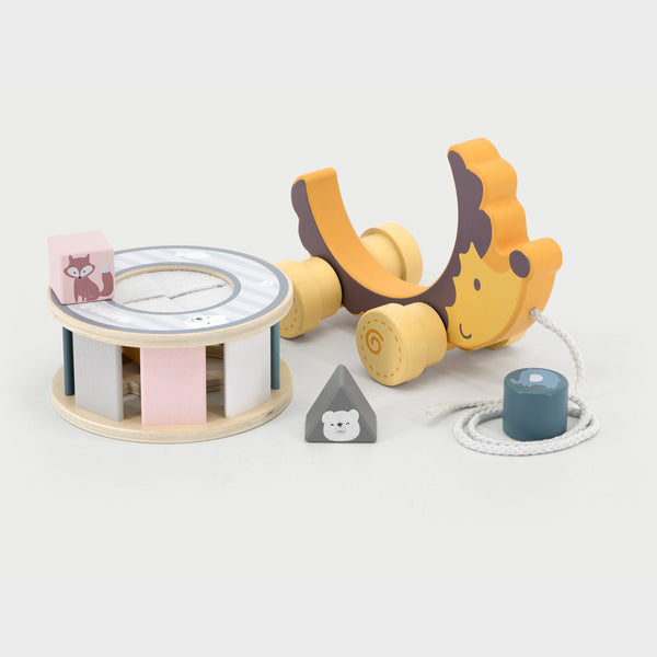 tickit Hedgehog Sorting Wheel -