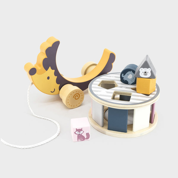 tickit Hedgehog Sorting Wheel -