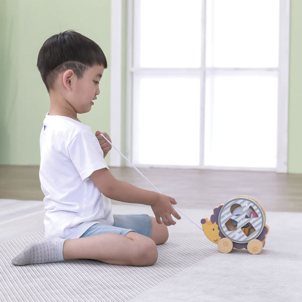 tickit Hedgehog Sorting Wheel -