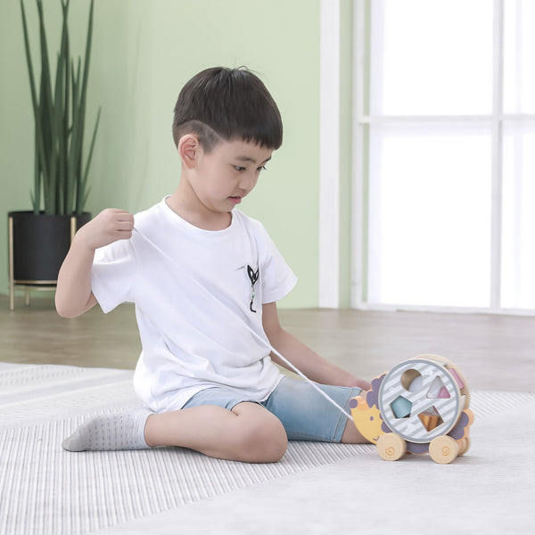 tickit Hedgehog Sorting Wheel -