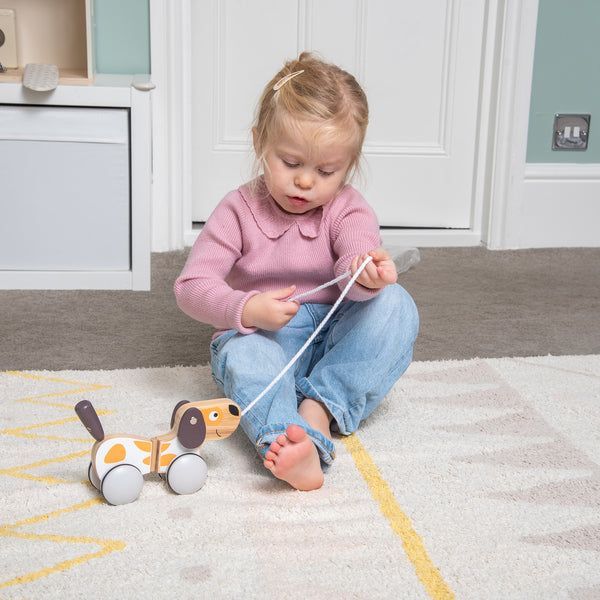 tickit Pull Along Puppy -