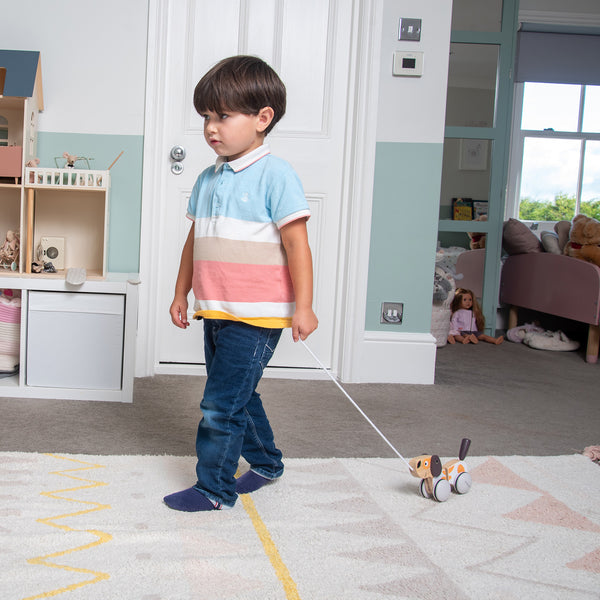 tickit Pull Along Puppy -