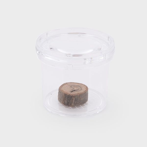 tickit Clear Bug Viewer -