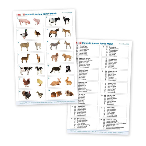 tickit Domestic Animal Family Match -