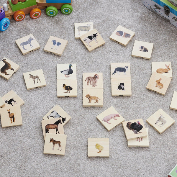 tickit Domestic Animal Family Match -