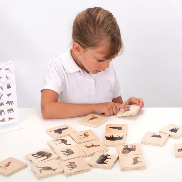 tickit Wild Animal Family Match -