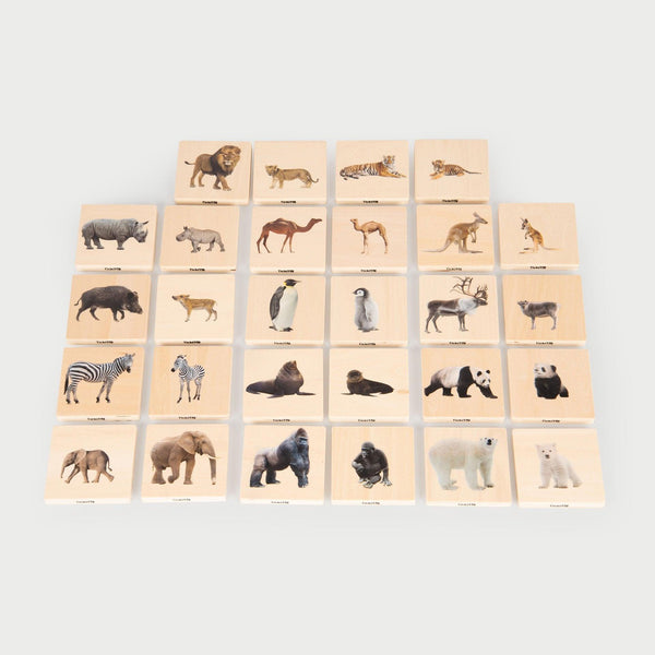 tickit Wild Animal Family Match -