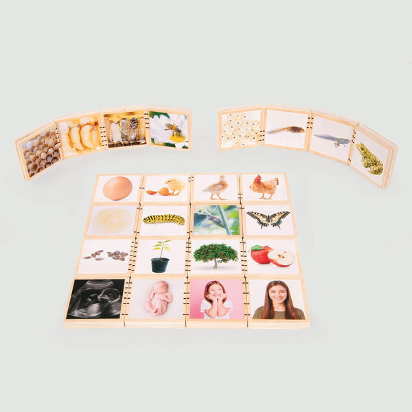 tickit Wooden Lifecycle Tiles -