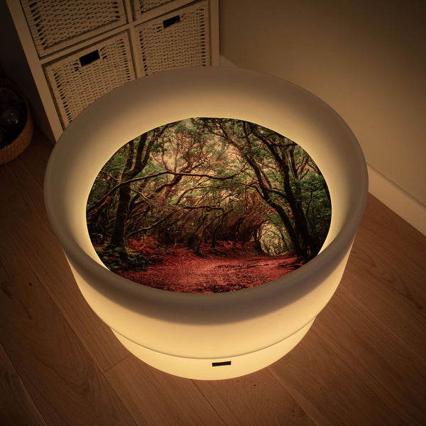 tickit Forest Discovery Play Mat -