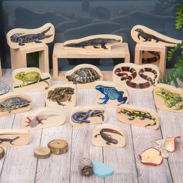 tickit Wooden Reptile & Amphibian Blocks -