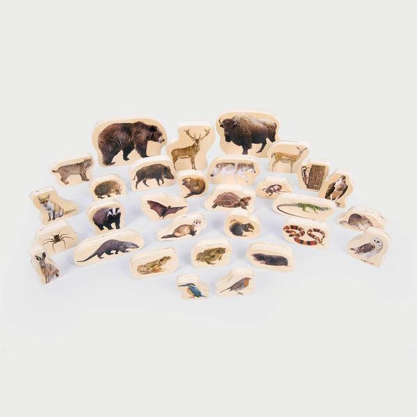 tickit Wooden Forest Animal Blocks -