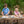 Animal Kingdom Layer Puzzle