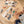 Animal Kingdom Layer Puzzle