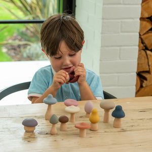 tickit SiliSoft® Woodland Mushroom Set (Earth) -