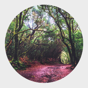 tickit Sensory Mood Discovery Table & Forest Discovery Play Mat -