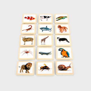 tickit Fichas de historia de madera -