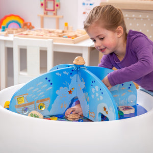 Ocean Discovery Dividers