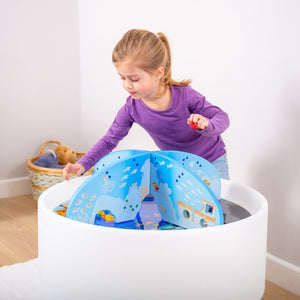 Ocean Discovery Dividers