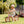 Whizz Balance Bike - Pink
