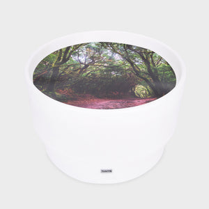 tickit Sensory Mood Discovery Table & Forest Discovery Play Mat -