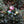 Indlæs billede i gallerifremviser,TickiT Sensory Reflective Colour Burst Balls Image 1

