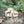 Indlæs billede i gallerifremviser,TickiT Wooden Forest Animal Blocks 13
