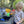 Indlæs billede i gallerifremviser,TickiT Translucent Colour Funnels - Pk6 2
