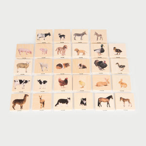 tickit Domestic Animal Family Match -   