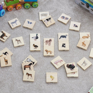 tickit Domestic Animal Family Match -   