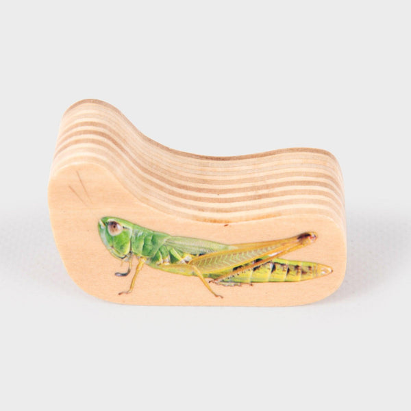 tickit Wooden Minibeast Blocks -   