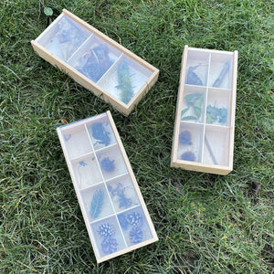 tickit Wooden Discovery Boxes -   