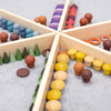 TickiT Wooden Discovery Dividers 3