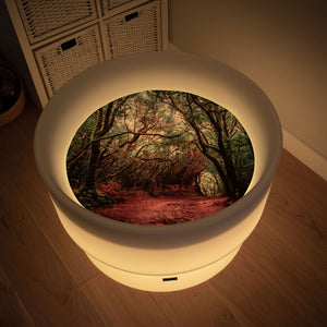 tickit Forest Discovery Play Mat -   